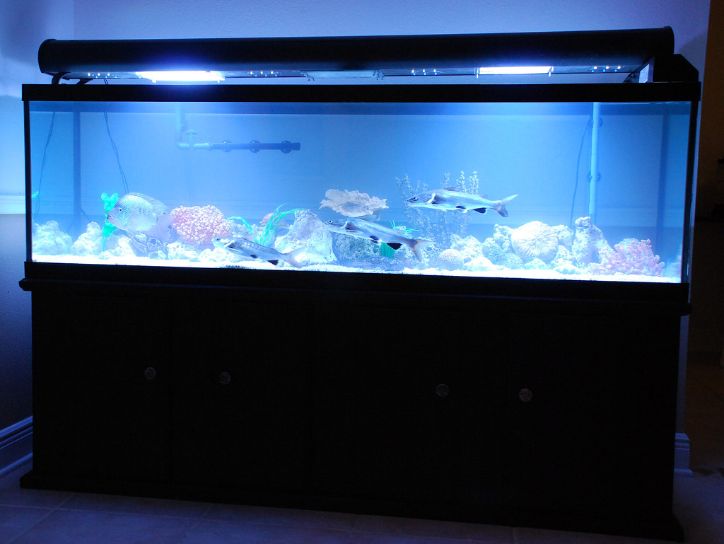 standard aquarium